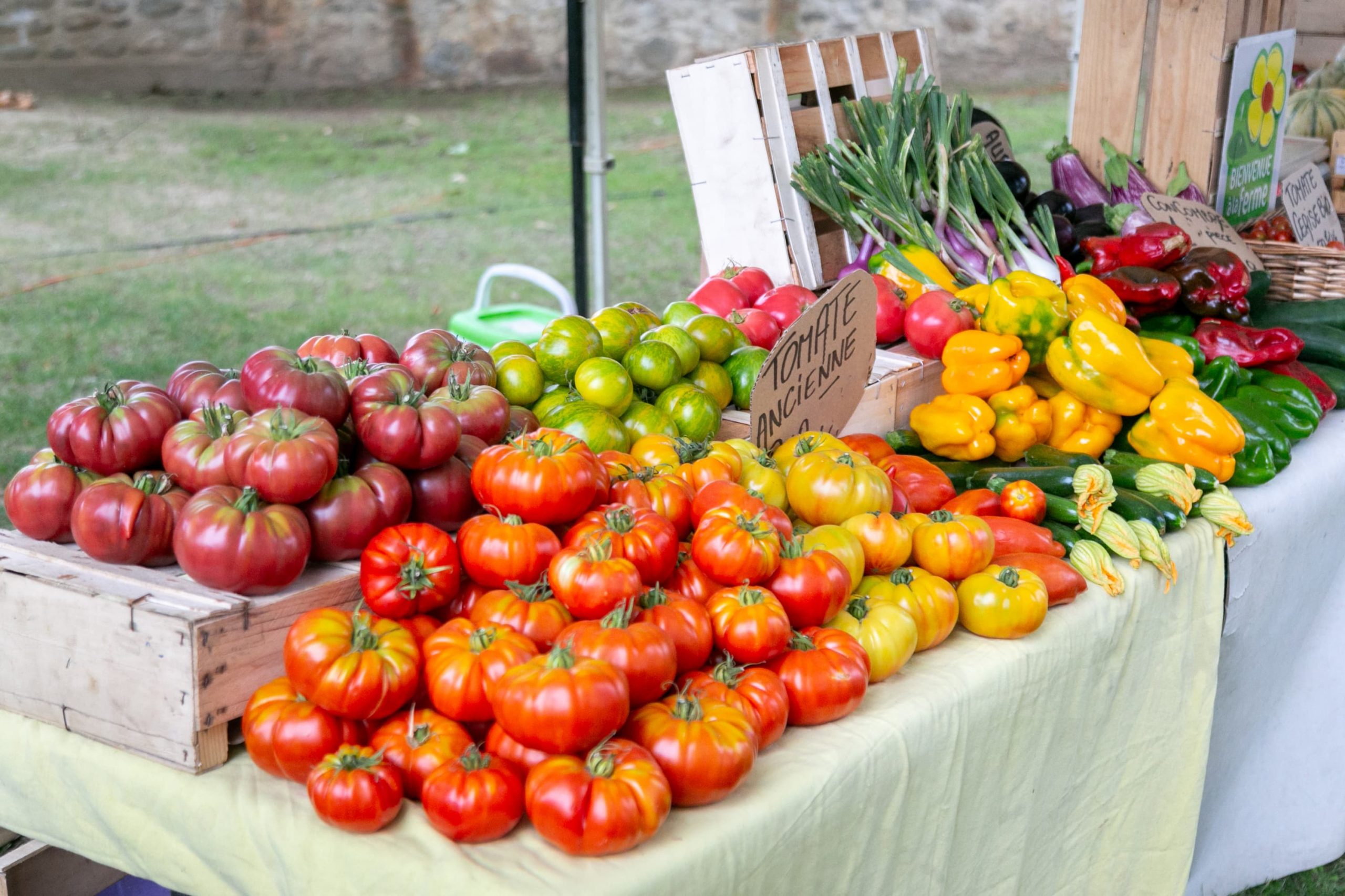 étale de tomates et autres fruits et légumes d'été lors d'une passejada en Roussillon conflent dans les Pyrénées Orientales