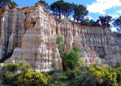 orgues d'ille sur Têt et végétation au sommet en Roussillon Conflent