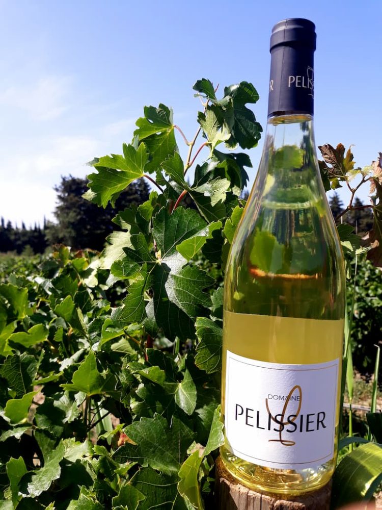 DOMAINE PELISSIER