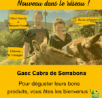 JOURNÉE À LA FERME