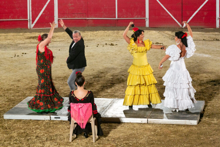 FERIA DE MILLAS 