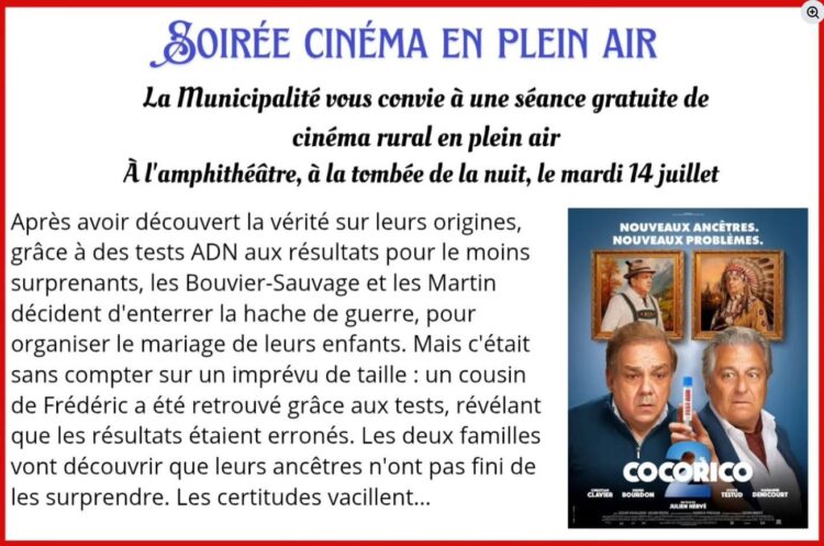 CINEMA EN PLEIN AIR
