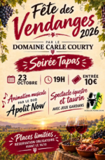 FÊTE DES VENDANGES