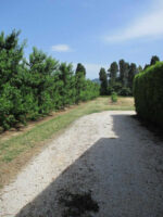 LE COSCOLLET 1