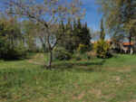 LA SOURCE