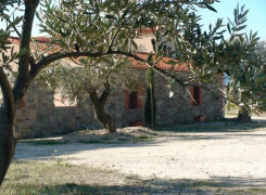 GÎTE ET OLIVIERS
