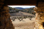 L’ARCHE BY DOMAINE RIBERACH