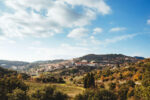L’ARCHE BY DOMAINE RIBERACH