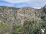 LE PANORAMIQUE
