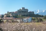 CHATEAU DE MONTALBA LE CHATEAU